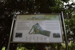 Jardin d'essais botanique de Rabat - Photo 43