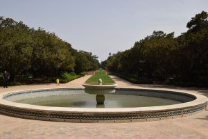 Jardin d'essais botanique de Rabat - Photo 44