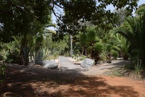 Jardin d'essais botanique de Rabat - Photo 51