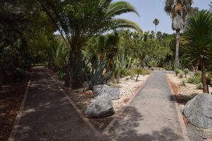 Jardin d'essais botanique de Rabat - Photo 52
