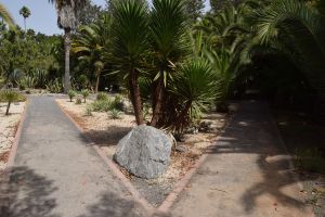 Jardin d'essais botanique de Rabat - Photo 53