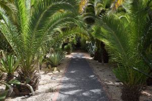 Jardin d'essais botanique de Rabat - Photo 56