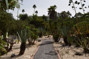 Jardin d'essais botanique de Rabat - Photo 60