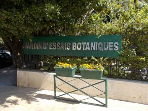 Jardin d'essais botanique de Rabat - Photo 68