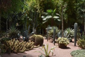 Le Jardin Majorelle - Photo 2