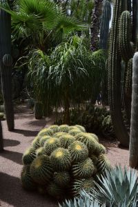 Le Jardin Majorelle - Photo 5