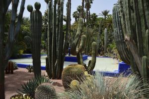 Le Jardin Majorelle - Photo 6