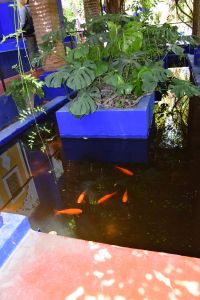 Le Jardin Majorelle - Photo 13