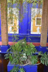 Le Jardin Majorelle - Photo 15