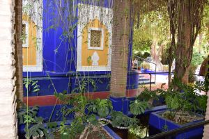 Le Jardin Majorelle - Photo 16