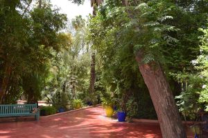 Le Jardin Majorelle - Photo 18