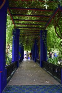 Le Jardin Majorelle - Photo 21