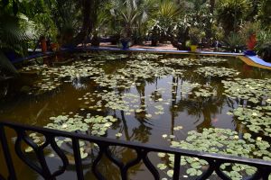 Le Jardin Majorelle - Photo 22