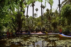 Le Jardin Majorelle - Photo 23