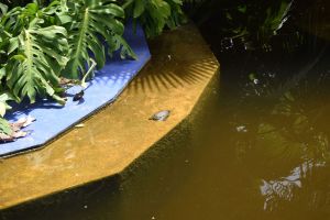 Le Jardin Majorelle - Photo 25