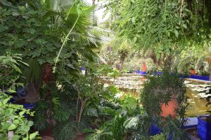 Le Jardin Majorelle - Photo 28