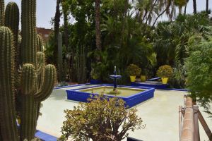 Le Jardin Majorelle - Photo 29