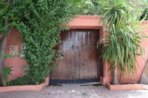 Le Jardin Majorelle - Photo 36