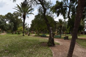 Jardin d'Olhao - Photo 0