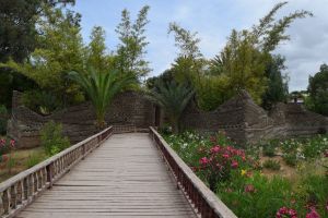 Jardin d'Olhao - Photo 5