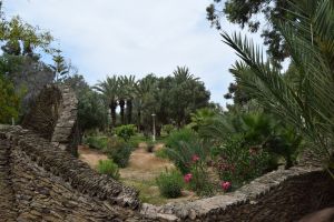 Jardin d'Olhao - Photo 6