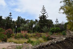 Jardin d'Olhao - Photo 7