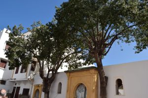 Les journées du patrimoine de Casablanca 2016 - Photo 18