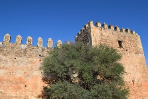 Kasbah Boulaouane - Photo 8