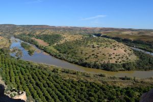 Kasbah Boulaouane - Photo 28