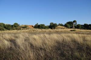 Cromlech de Mzoura - Photo 3