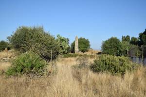 Cromlech de Mzoura - Photo 6