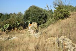 Cromlech de Mzoura - Photo 8