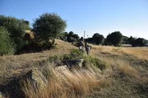 Cromlech de Mzoura - Photo 10