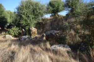 Cromlech de Mzoura - Photo 12