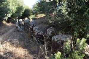 Cromlech de Mzoura - Photo 13