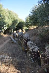 Cromlech de Mzoura - Photo 14