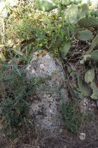 Cromlech de Mzoura - Photo 15