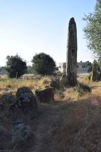 Cromlech de Mzoura - Photo 18