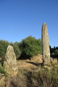 Cromlech de Mzoura - Photo 22