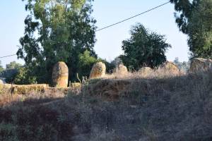 Cromlech de Mzoura - Photo 24