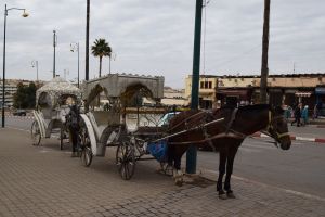 Meknes - Photo 10