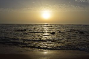 Moulay Bousselham - Photo 6