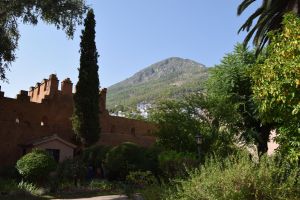 Musée ethnographique de Chefchaouen - Photo 35