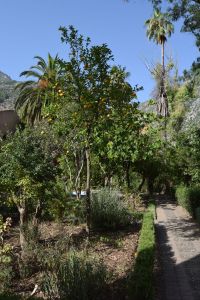 Musée ethnographique de Chefchaouen - Photo 45