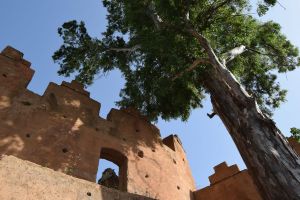 Musée ethnographique de Chefchaouen - Photo 46