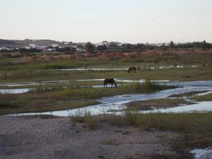 Oued Laou (08/2014) - Photo 5