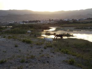 Oued Laou (08/2014) - Photo 6