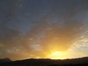 Oued Laou (08/2014) - Photo 8