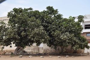 Oued Laou (08/2016) - Photo 1