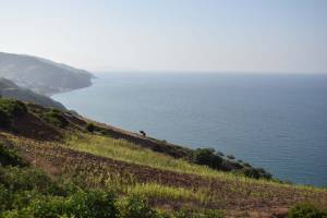 Oued Laou (07/2018) - Photo 5